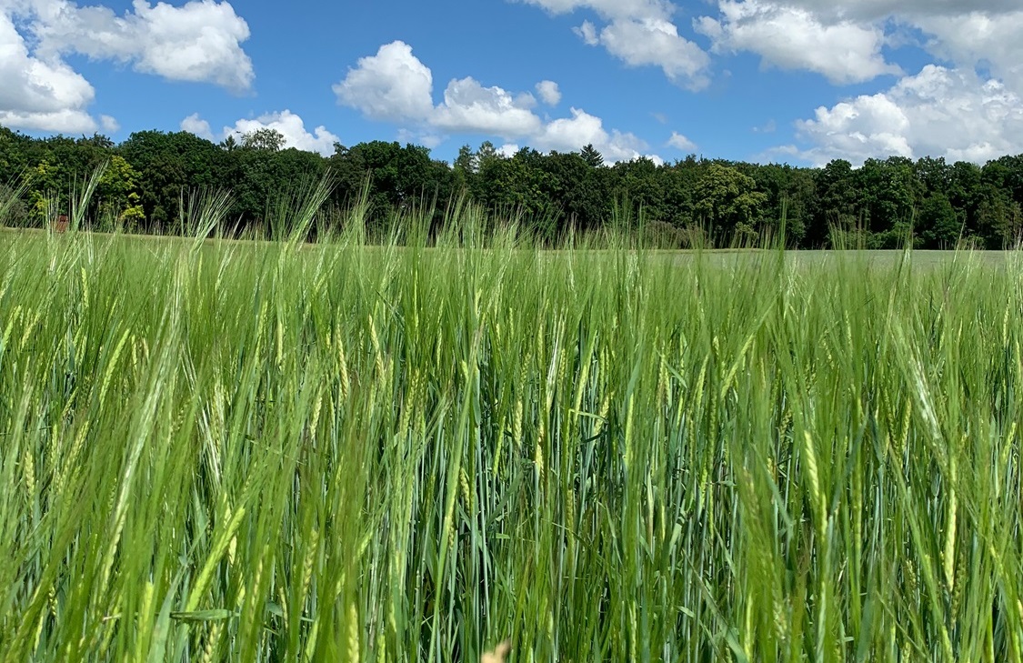 vente exploitation agricole marne